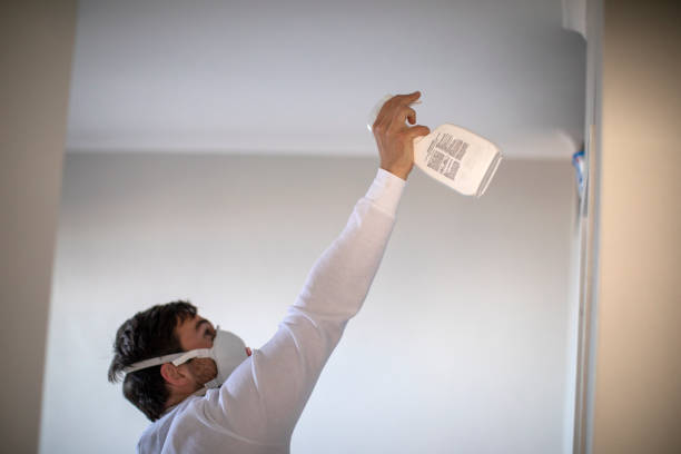 Mold Testing and Removal in Brazoria, TX
